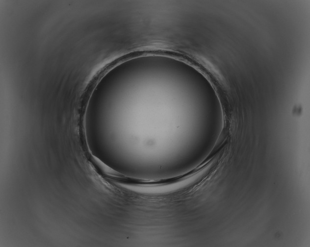 X0000091211356200708231557