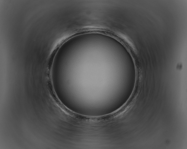 X0000091211357200708231557