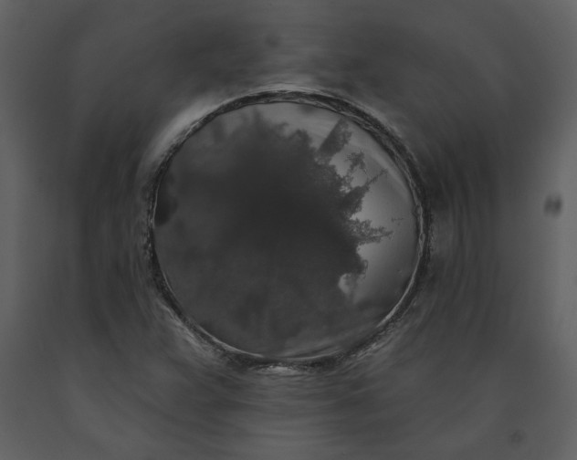 X0000091211359200708231557