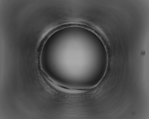 X0000091211360200708231557