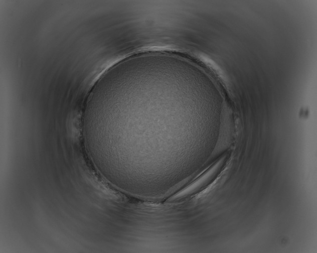 X0000091211361200708231557