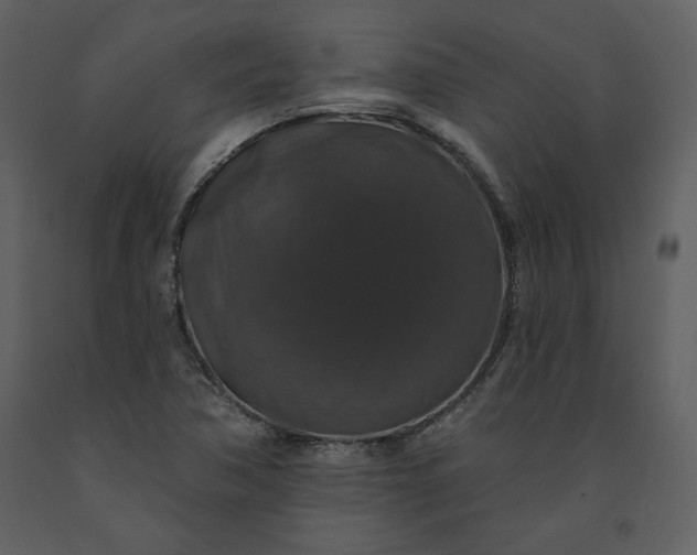 X0000091211362200708231557