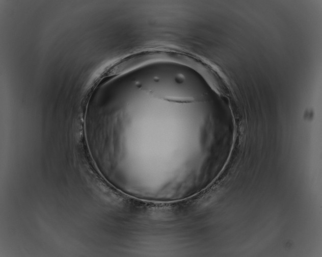 X0000091211363200708231557