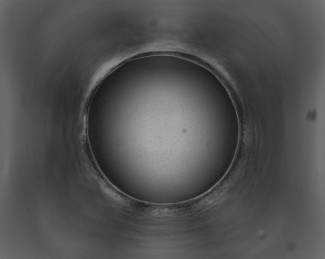 X0000091211366200708231557
