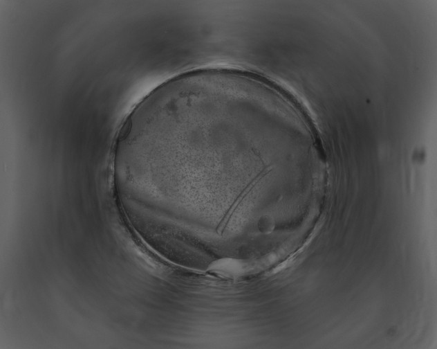 X0000091211367200708231557