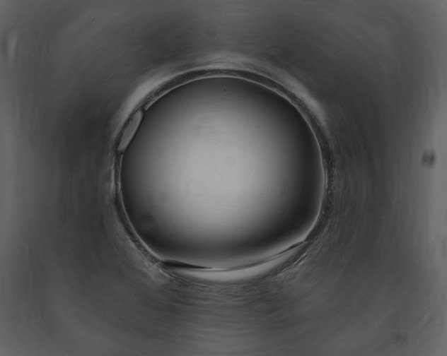 X0000091211368200708231557