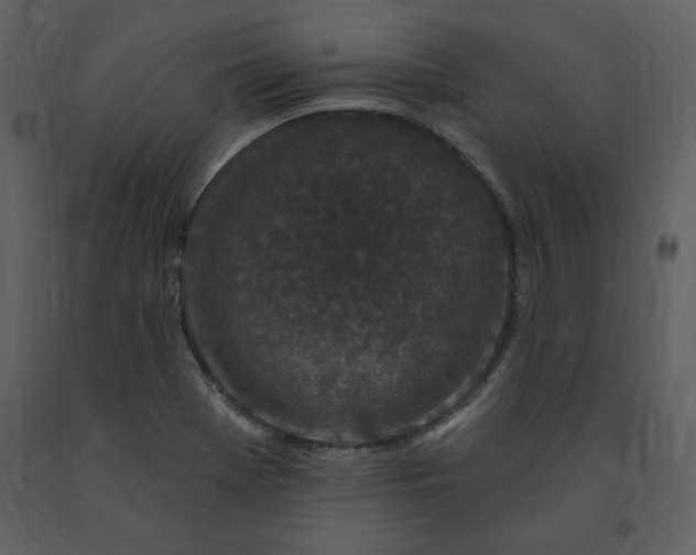 X0000091211369200708231557