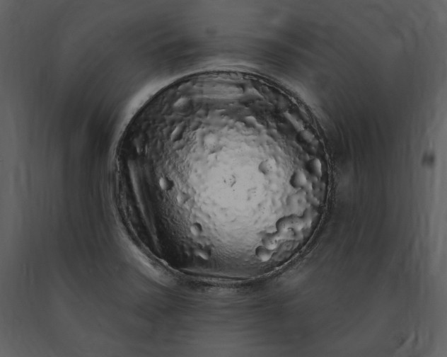 X0000091211371200708231557