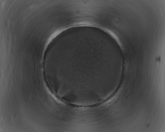 X0000091211373200708231557