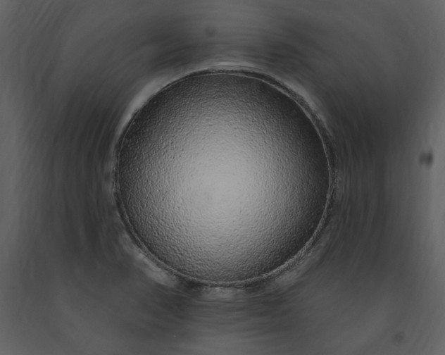 X0000091211374200708231557