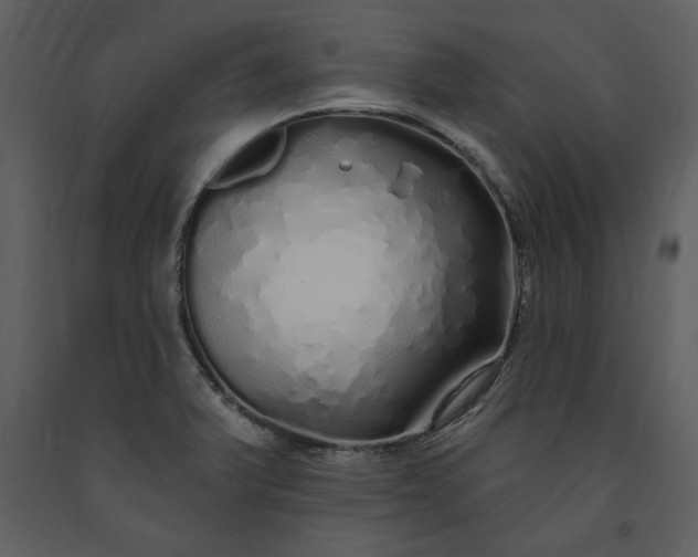 X0000091211375200708231557