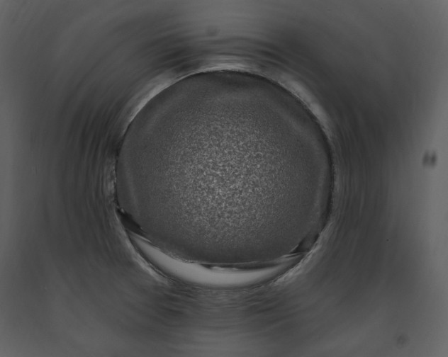 X0000091211377200708231557
