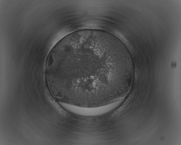 X0000091211378200708231557