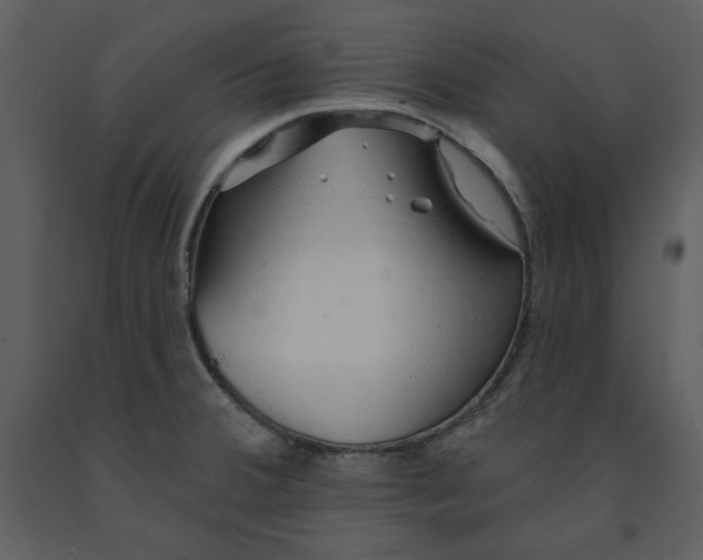 X0000091211380200708231557