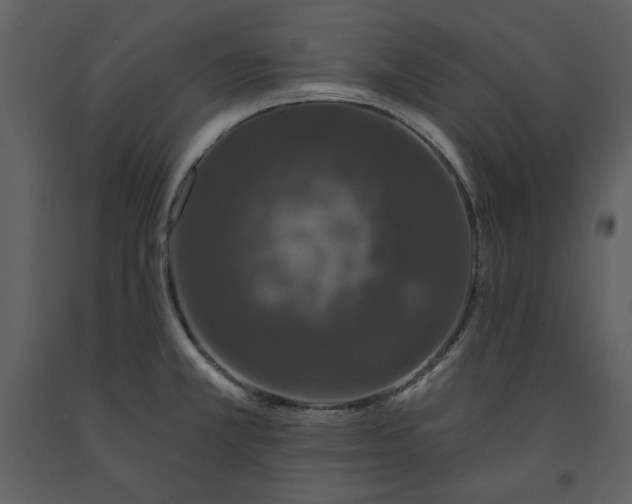 X0000091211381200708231557