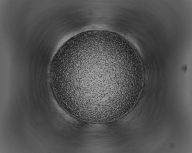 X0000091211382200708231557