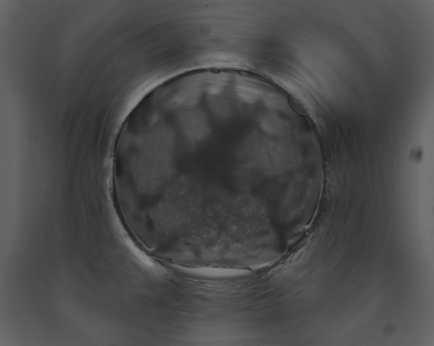 X0000091211383200708231557