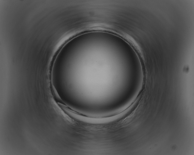 X0000091211384200708231557