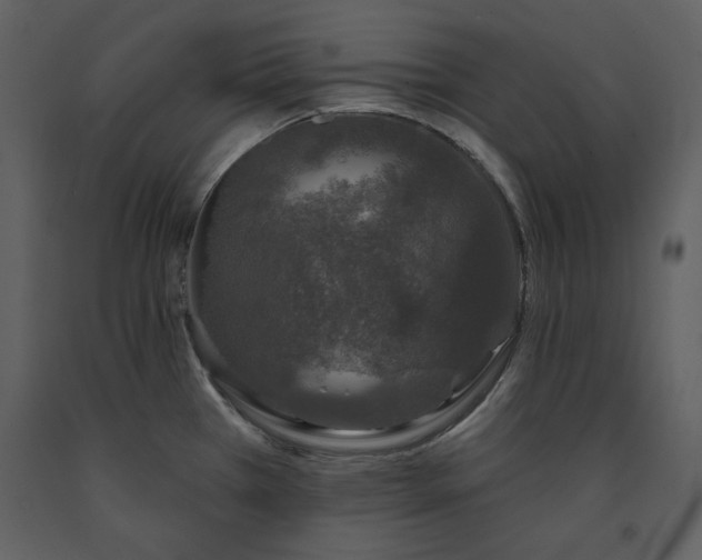 X0000091211385200708231557