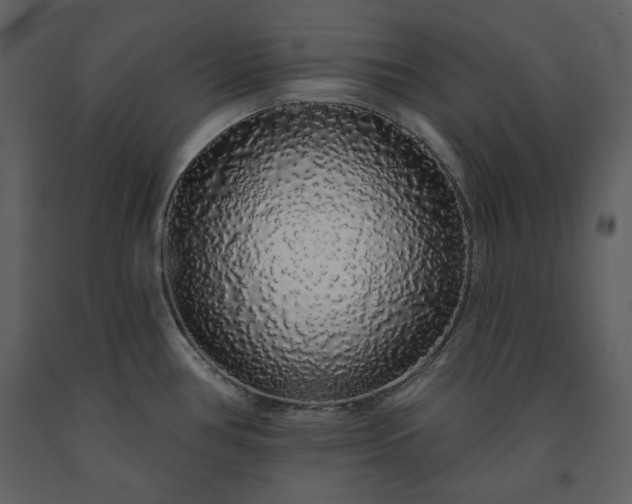 X0000091211386200708231557