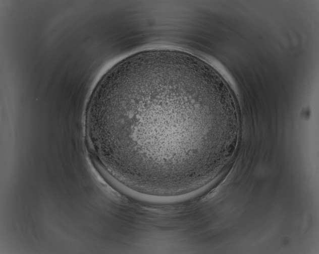X0000091211388200708231557