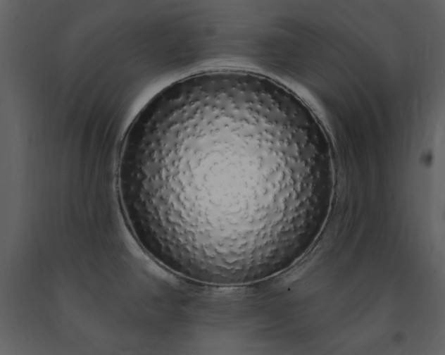 X0000091211390200708231557