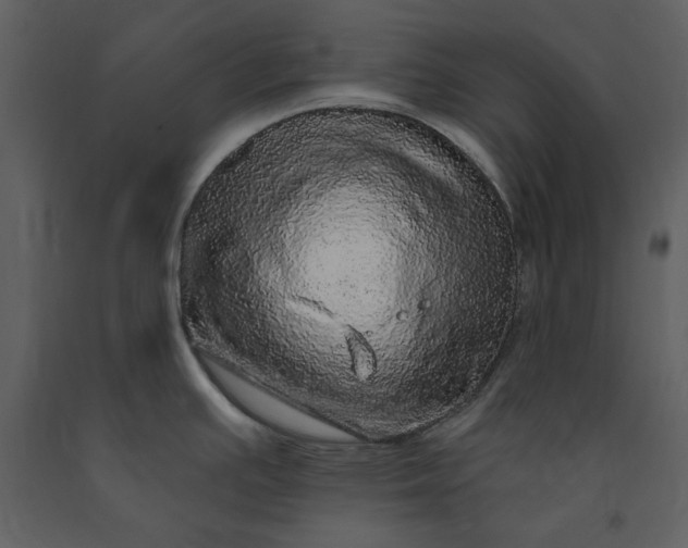 X0000091211391200708231557
