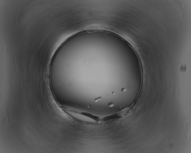 X0000091211392200708231557