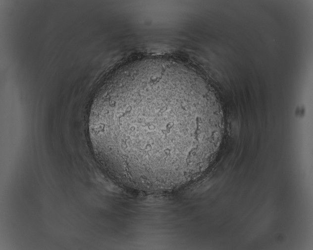 X0000091211393200708231556