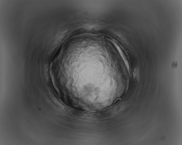 X0000091211396200708231556