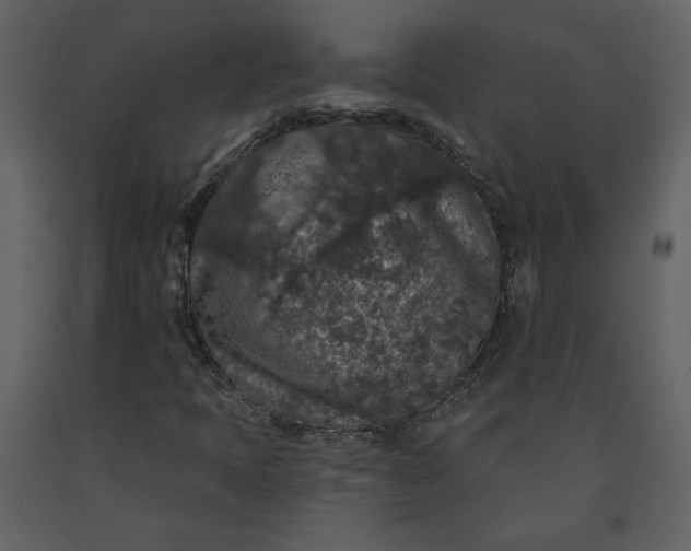 X0000091211397200708231556