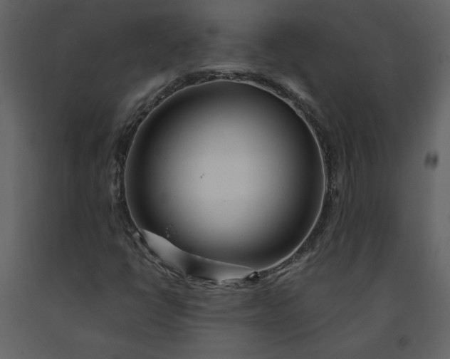 X0000091211398200708231556