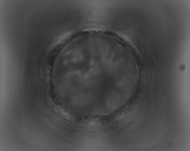 X0000091211399200708231556