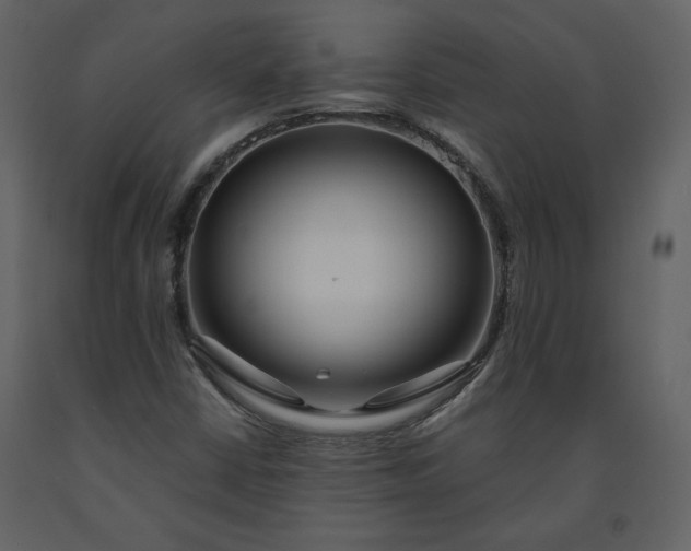 X0000091211402200708231556
