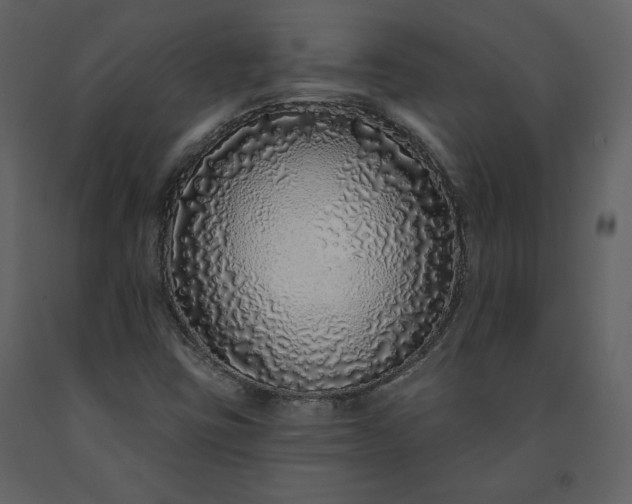 X0000091211403200708231556