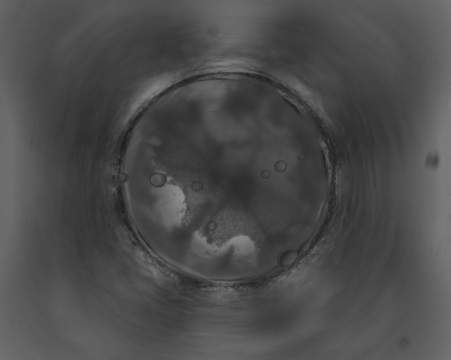 X0000091211405200708231556