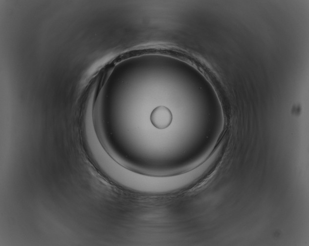 X0000091211406200708231556
