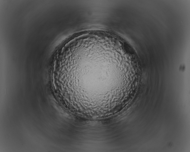 X0000091211407200708231556