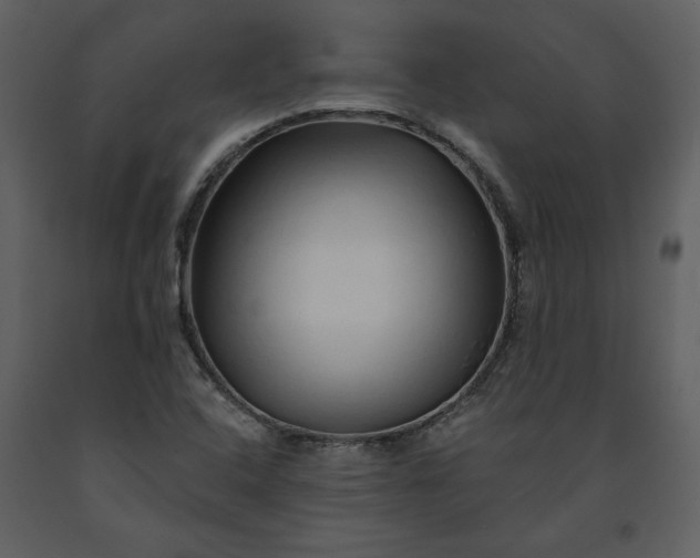 X0000091211408200708231556