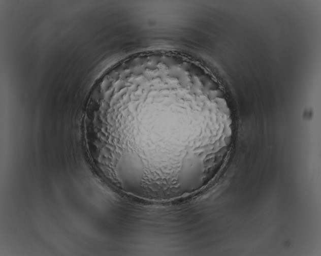 X0000091211409200708231556