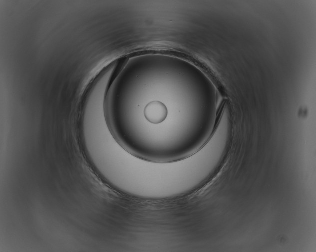 X0000091211410200708231556