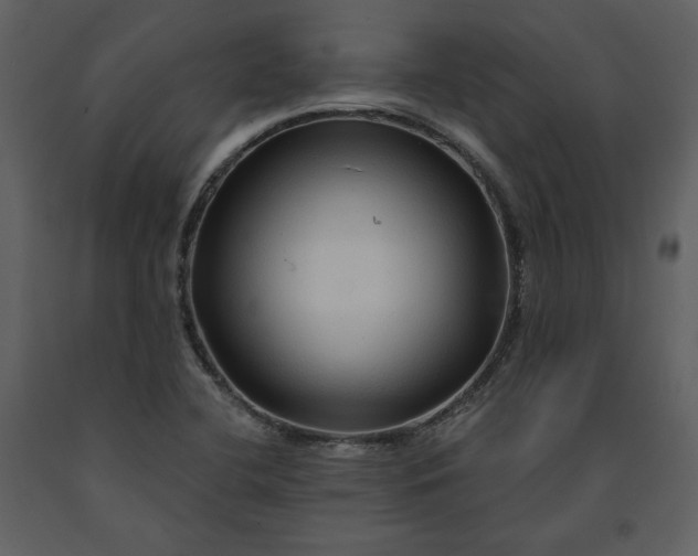 X0000091211412200708231556