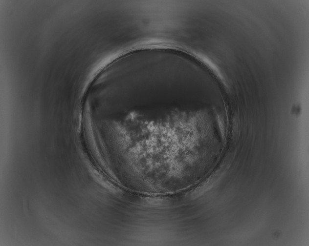 X0000091211413200708231556