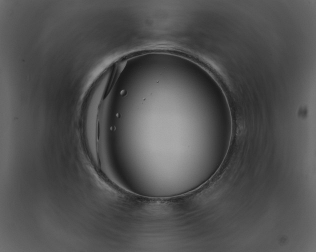 X0000091211414200708231556