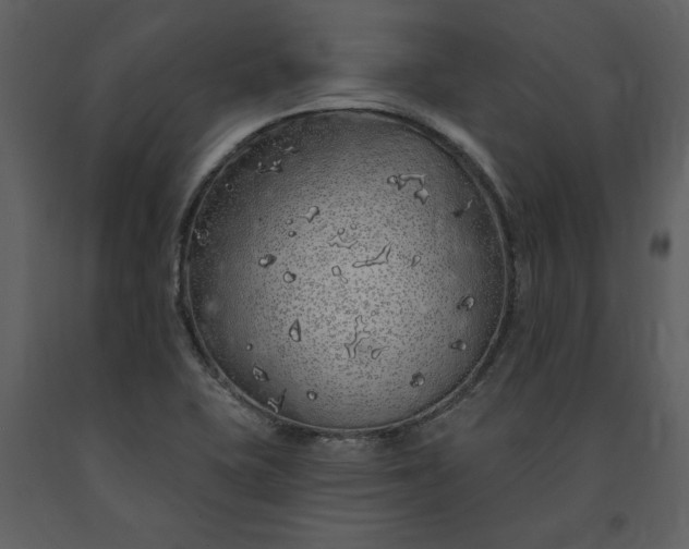 X0000091211415200708231556