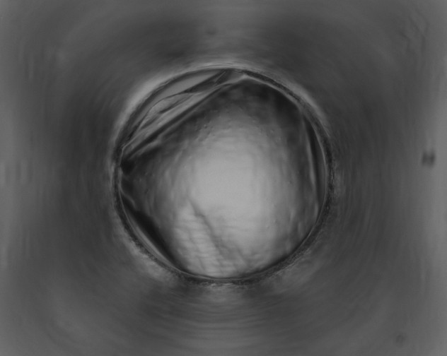 X0000091211416200708231556