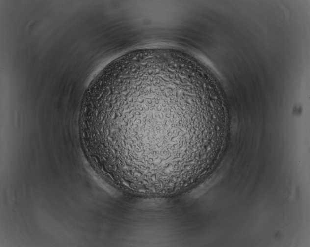 X0000091211417200708231556