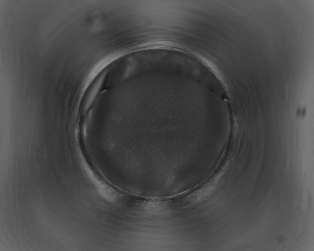 X0000091211418200708231556