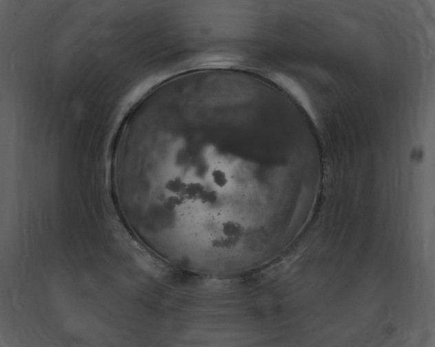 X0000091211419200708231556