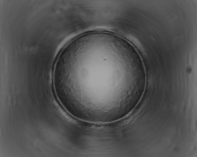 X0000091211420200708231556